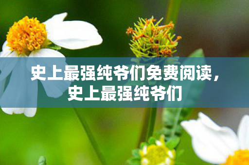 史上最强纯爷们免费阅读，史上最强纯爷们