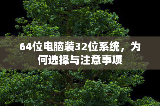 64位电脑装32位系统，为何选择与注意事项
