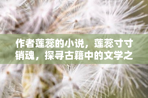作者莲蕊的小说，莲蕊寸寸销魂，探寻古籍中的文学之美