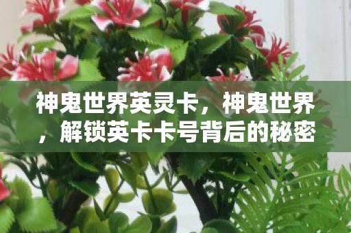 神鬼世界英灵卡,神鬼世界,解锁英卡卡号背后的秘密 神鬼世界英灵卡,神鬼世界,解锁英卡卡号背后的秘密