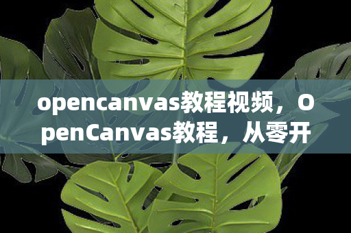 opencanvas教程视频，OpenCanvas教程，从零开始打造你的数字艺术之旅