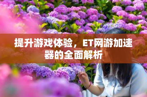 提升游戏体验，ET网游加速器的全面解析