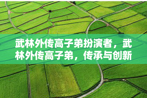 武林外传高子弟扮演者，武林外传高子弟，传承与创新的武侠世界