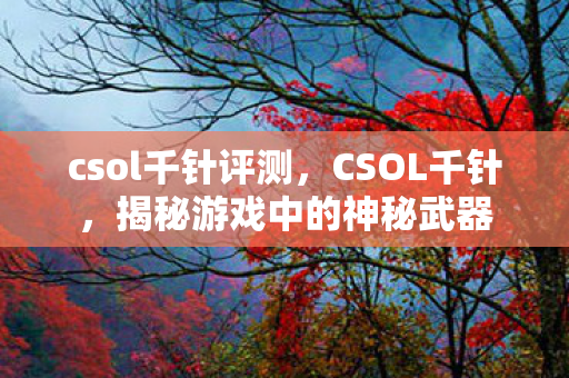 csol千针评测，CSOL千针，揭秘游戏中的神秘武器