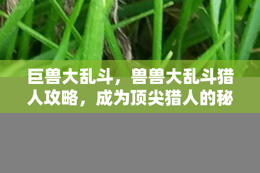 巨兽大乱斗，兽兽大乱斗猎人攻略，成为顶尖猎人的秘密