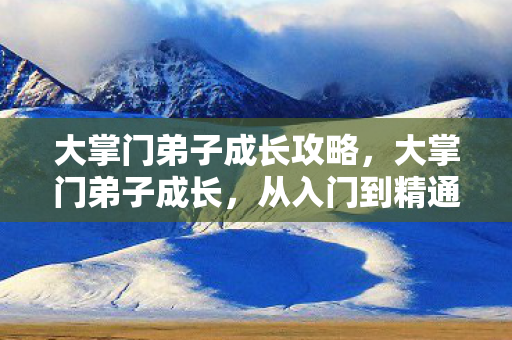 大掌门弟子成长攻略，大掌门弟子成长，从入门到精通的修炼之路