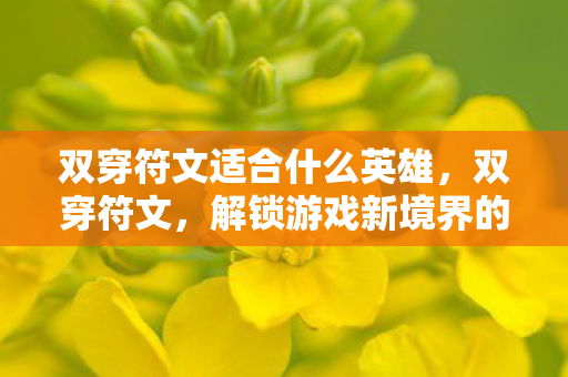 双穿符文适合什么英雄，双穿符文，解锁游戏新境界的秘钥