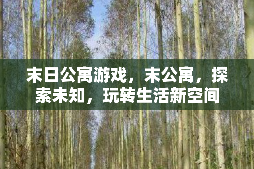 末日公寓游戏，末公寓，探索未知，玩转生活新空间