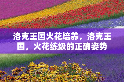 洛克王国火花培养，洛克王国，火花练级的正确姿势