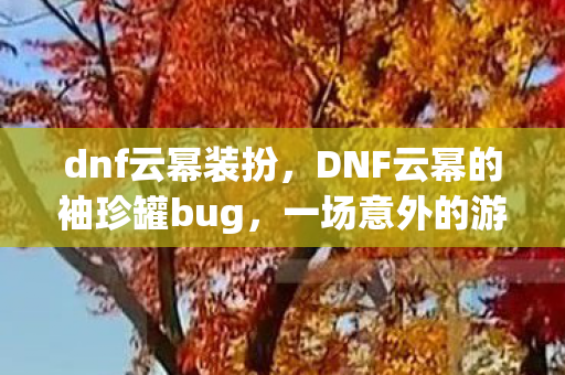dnf云幂装扮，DNF云幂的袖珍罐bug，一场意外的游戏奇遇