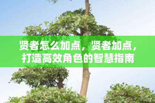 贤者怎么加点，贤者加点，打造高效角色的智慧指南