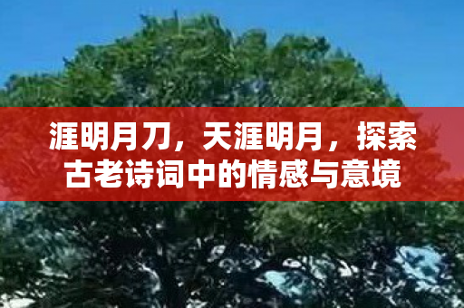 涯明月刀，天涯明月，探索古老诗词中的情感与意境
