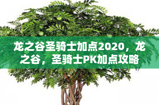 龙之谷圣骑士加点2020，龙之谷，圣骑士PK加点攻略