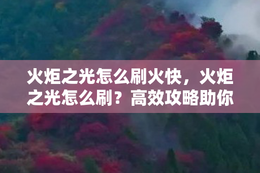 火炬之光怎么刷火快，火炬之光怎么刷？高效攻略助你快速升级
