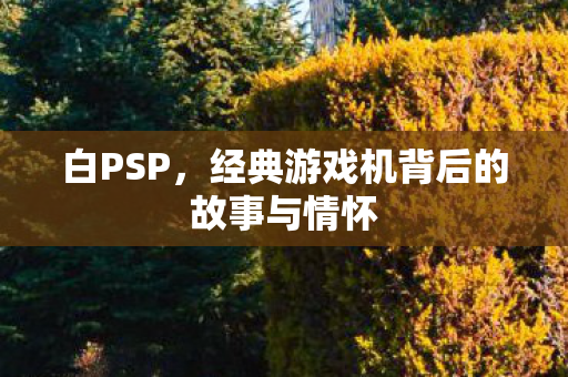 白PSP，经典游戏机背后的故事与情怀