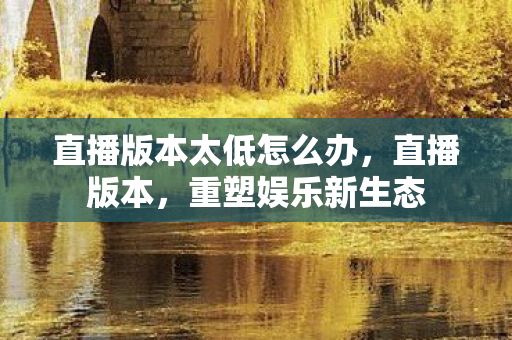 直播版本太低怎么办，直播版本，重塑娱乐新生态
