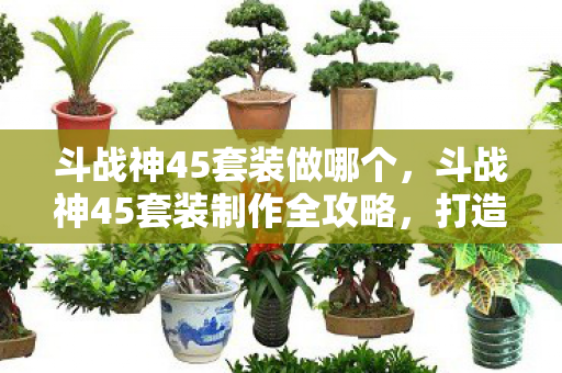 斗战神45套装做哪个，斗战神45套装制作全攻略，打造顶级装备，助你称霸战场