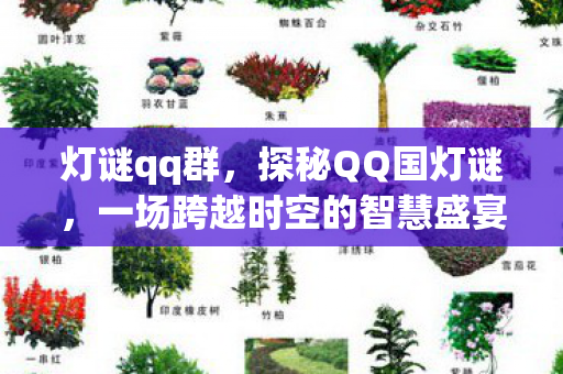 灯谜qq群，探秘QQ国灯谜，一场跨越时空的智慧盛宴