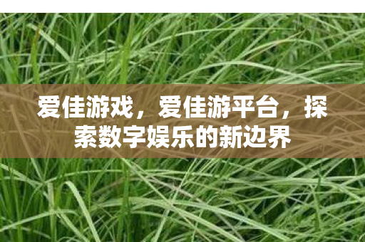 爱佳游戏，爱佳游平台，探索数字娱乐的新边界