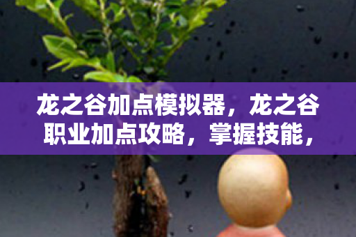 龙之谷加点模拟器，龙之谷职业加点攻略，掌握技能，成为顶尖玩家