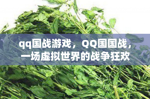 qq国战游戏，QQ国国战，一场虚拟世界的战争狂欢