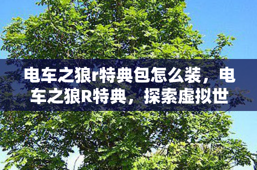 电车之狼r特典包怎么装,电车之狼R特典,探索虚拟世界的奇妙之旅 电车之狼r特典包怎么装,电车之狼R特典,探索虚拟世界的奇妙之旅