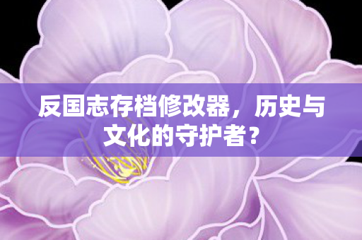 反国志存档修改器,历史与文化的守护者? 反国志存档修改器,历史与文化的守护者?