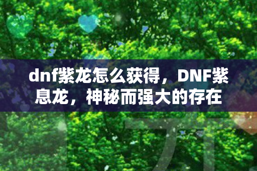 dnf紫龙怎么获得，DNF紫息龙，神秘而强大的存在