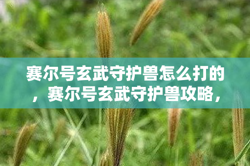 赛尔号玄武守护兽怎么打的，赛尔号玄武守护兽攻略，如何轻松击败这些强大敌人