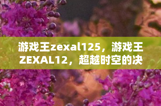 游戏王zexal125，游戏王ZEXAL12，超越时空的决斗传说
