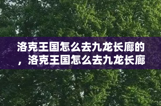 洛克王国怎么去九龙长廊的，洛克王国怎么去九龙长廊