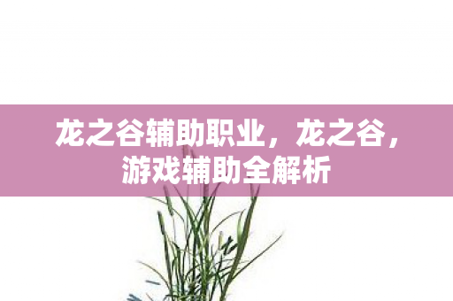 龙之谷辅助职业，龙之谷，游戏辅助全解析