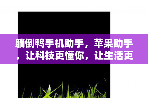 躺倒鸭手机助手，苹果助手，让科技更懂你，让生活更有趣
