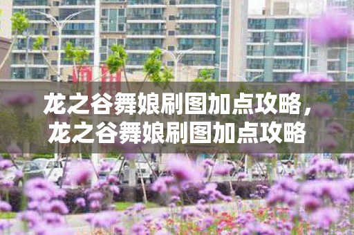 龙之谷舞娘刷图加点攻略，龙之谷舞娘刷图加点攻略