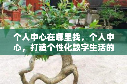 个人中心在哪里找，个人中心，打造个性化数字生活的核心