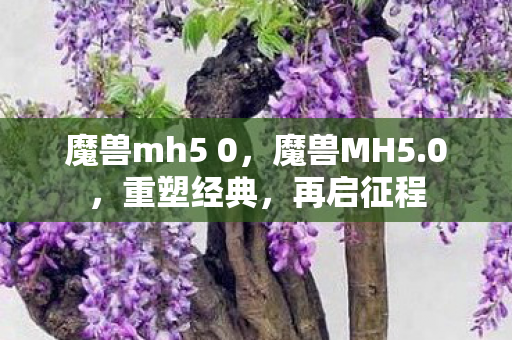 魔兽mh5 0图片