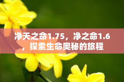 净天之命1.75，净之命1.6，探索生命奥秘的旅程