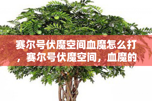 赛尔号伏魔空间血魔怎么打，赛尔号伏魔空间，血魔的觉醒