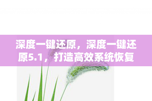 深度一键还原,深度一键还原5.1,打造高效系统恢复解决方案 深度一键还原,深度一键还原5.1,打造高效系统恢复解决方案