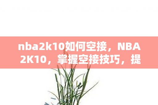 nba2k10如何空接,NBA 2K10,掌握空接技巧,提升你的游戏水平 nba2k10如何空接,NBA 2K10,掌握空接技巧,提升你的游戏水平