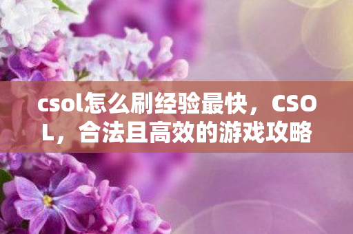 csol怎么刷经验最快，CSOL，合法且高效的游戏攻略提升技巧