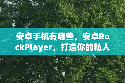 安卓手机有哪些，安卓RockPlayer，打造你的私人影院