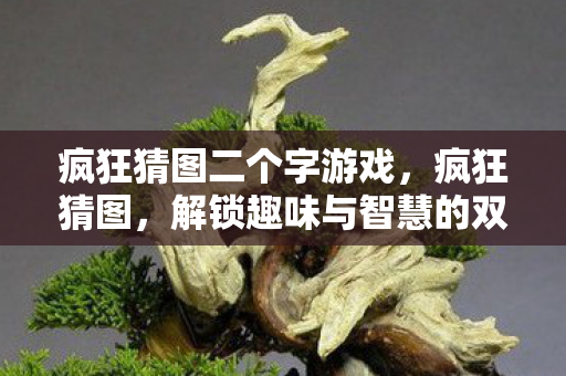 疯狂猜图二个字游戏，疯狂猜图，解锁趣味与智慧的双重挑战