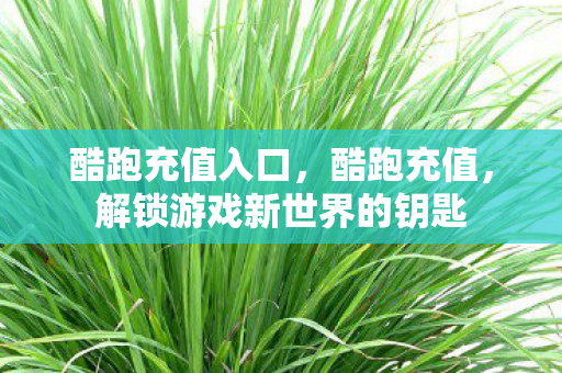 酷跑充值入口，酷跑充值，解锁游戏新世界的钥匙