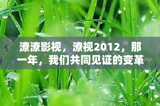 潦潦影视，潦视2012，那一年，我们共同见证的变革与成长