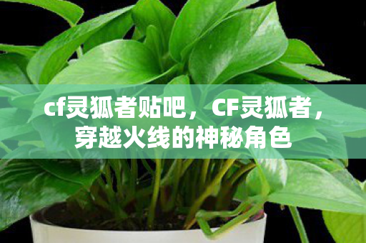 cf灵狐者贴吧，CF灵狐者，穿越火线的神秘角色