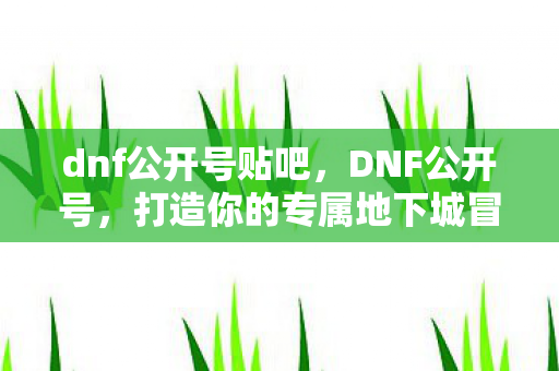 dnf公开号贴吧，DNF公开号，打造你的专属地下城冒险之旅
