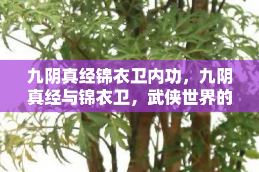 九阴真经锦衣卫内功，九阴真经与锦衣卫，武侠世界的神秘交集