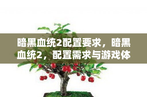 配置需求与游戏体验优化指南图片