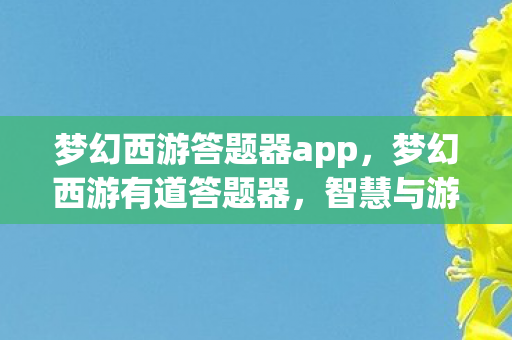 梦幻西游答题器app，梦幻西游有道答题器，智慧与游戏的完美结合